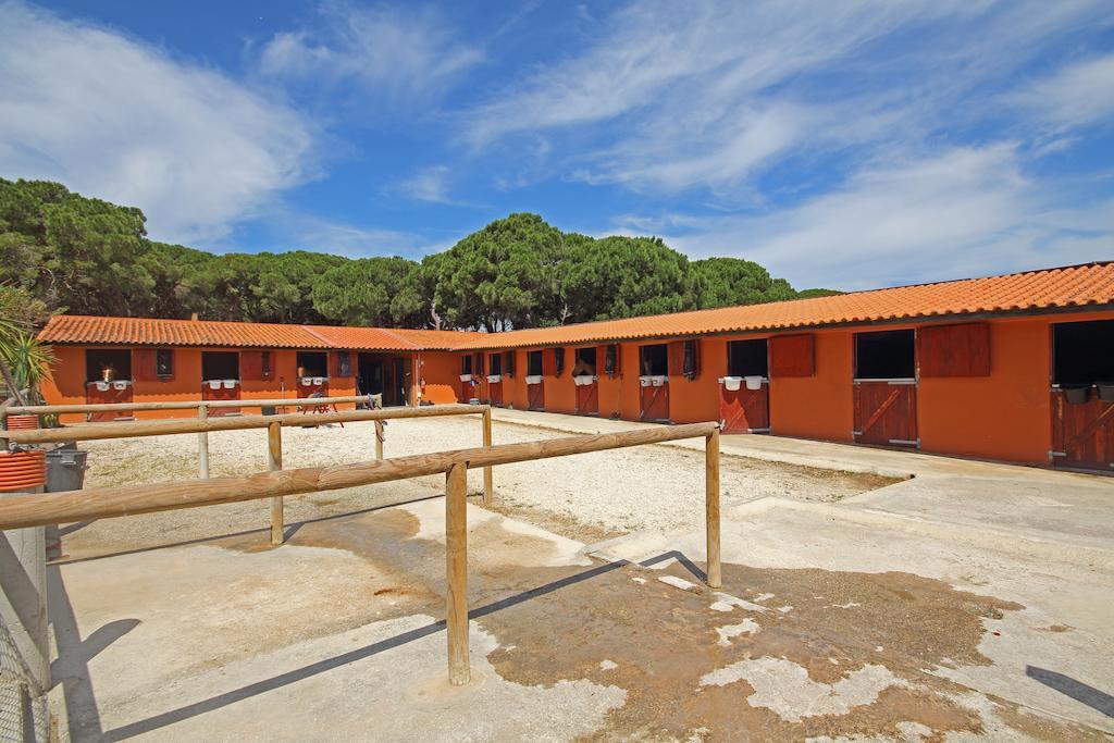Quinta Da Bicuda Villa Cascais Dış mekan fotoğraf