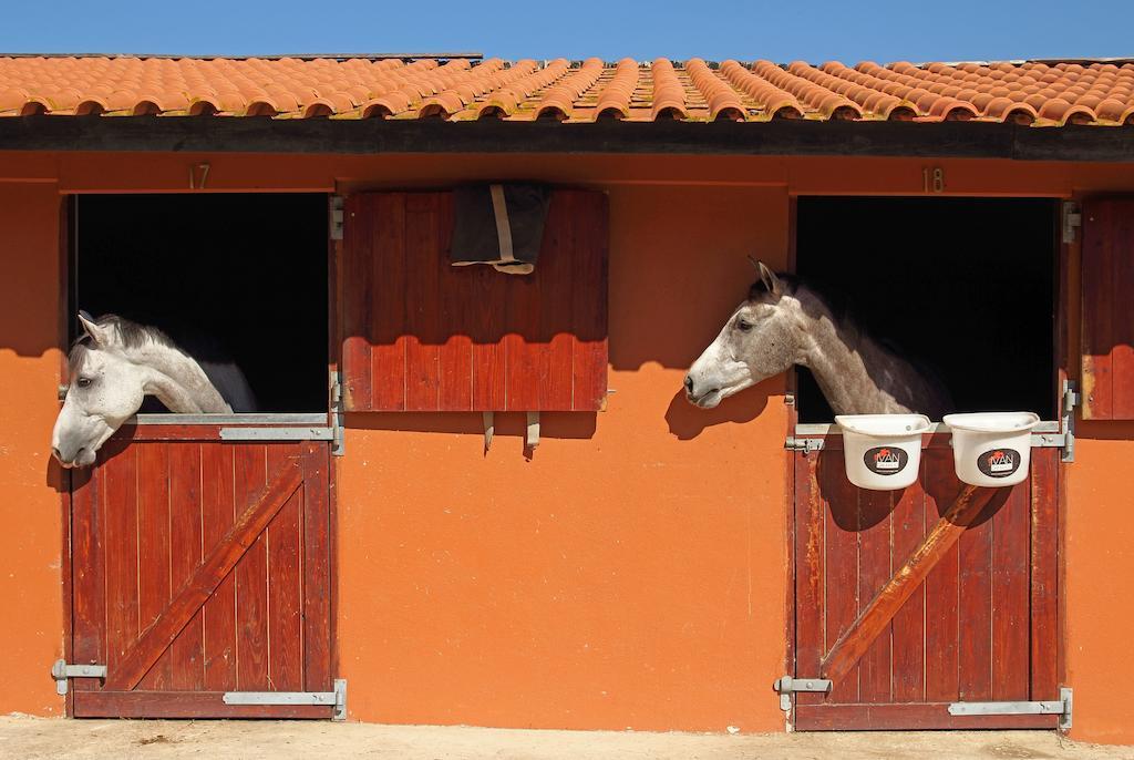 Quinta Da Bicuda Villa Cascais Dış mekan fotoğraf